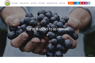 <h3></noscript>Top 10 Reasons To Go Organic</h3>
<p>Only organic guarantees no toxic persistent pesticides, synthetic fertilizers or GMOs…</p>
